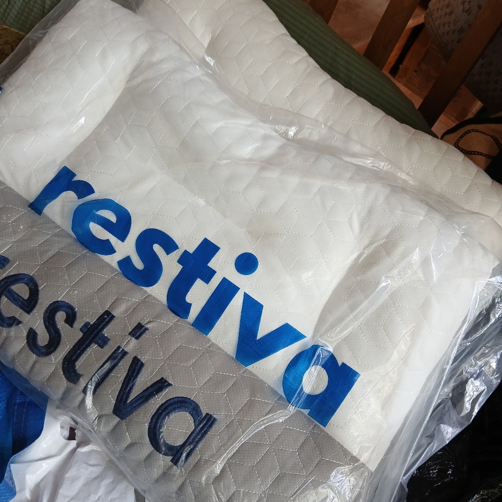 White and Blue Restiva Pillow